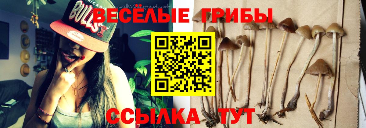 Псилоцибиновые грибы мухоморы  Вход с VPN  Лысьва 
